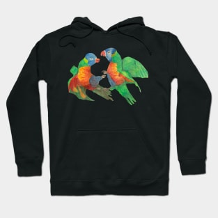 Parrots colorful Hoodie